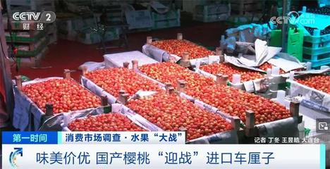 种植技术提高+味美价优 国产樱桃市场占有率不断提高